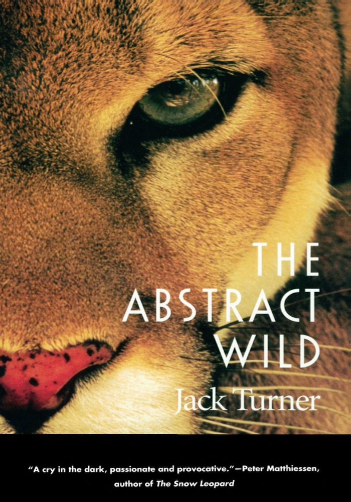 The Abstract Wild